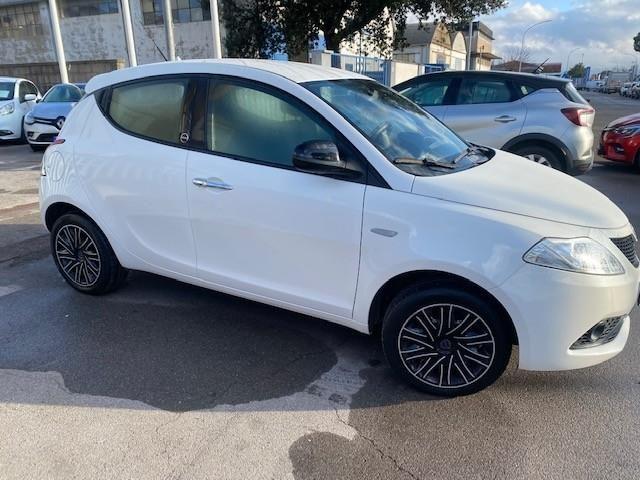 LANCIA Ypsilon 5 Porte 1.2 Ecochic 69cv Platinum my19