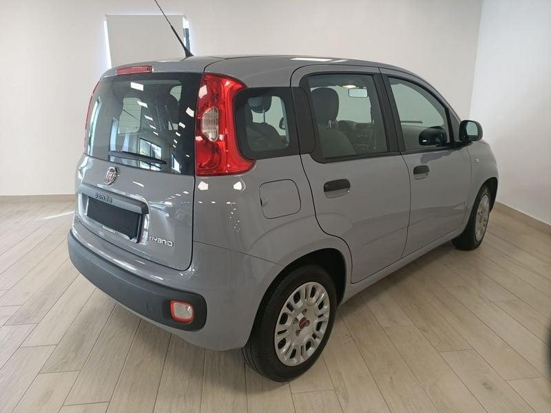 FIAT Panda 3ª serie 1.0 FireFly S&S Hybrid