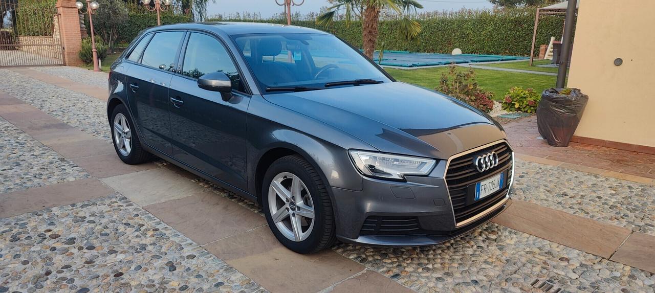 Audi A3 1.6 TDI 116 CV S tronic Business