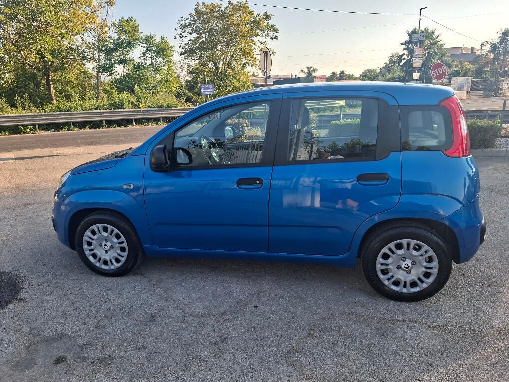 Fiat Panda Pandina 1.0 FireFly 65 CV Hybrid Icon
