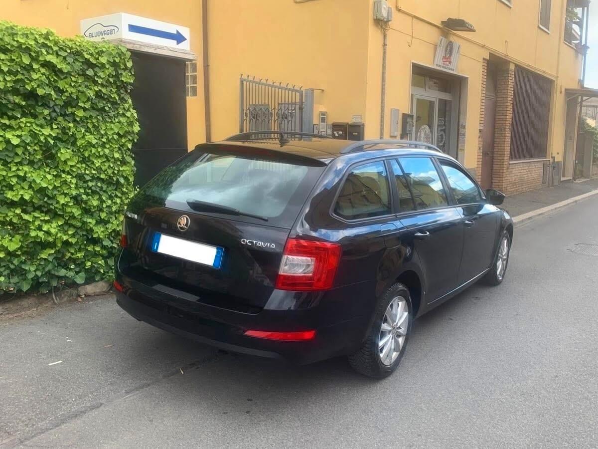 Skoda Octavia 1.6 TDI 105CV FINANZIABILE