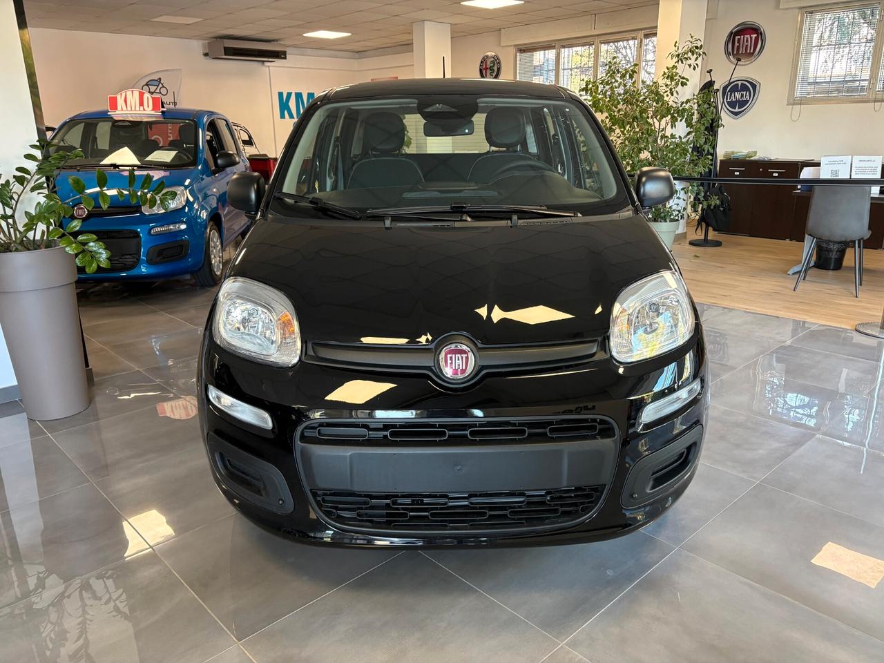 Fiat Panda La Pandina Icon 1.0 Hybrid Km0