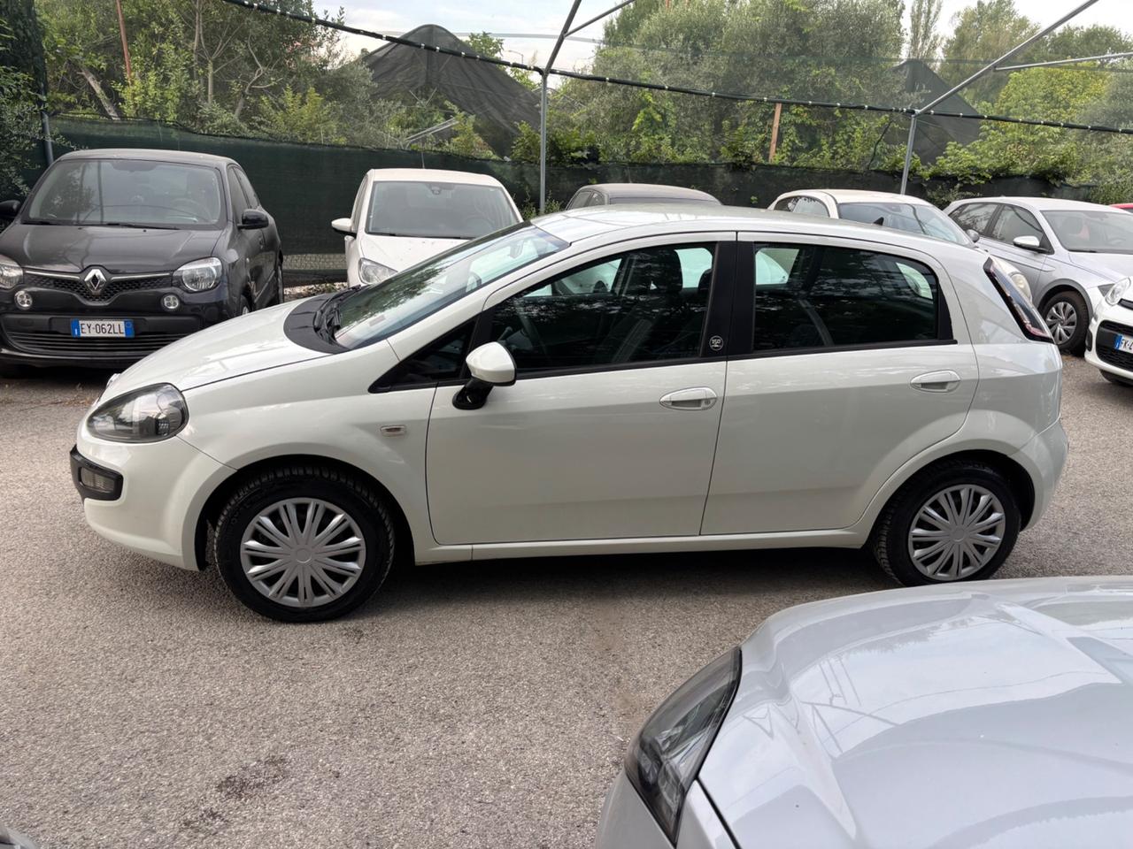Fiat Punto Evo 1.2 5 porte Dynamic OK NEOPATENTATI