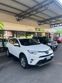 TOYOTA RAV 4 2.5 HYBRID 4WD LOUNGE