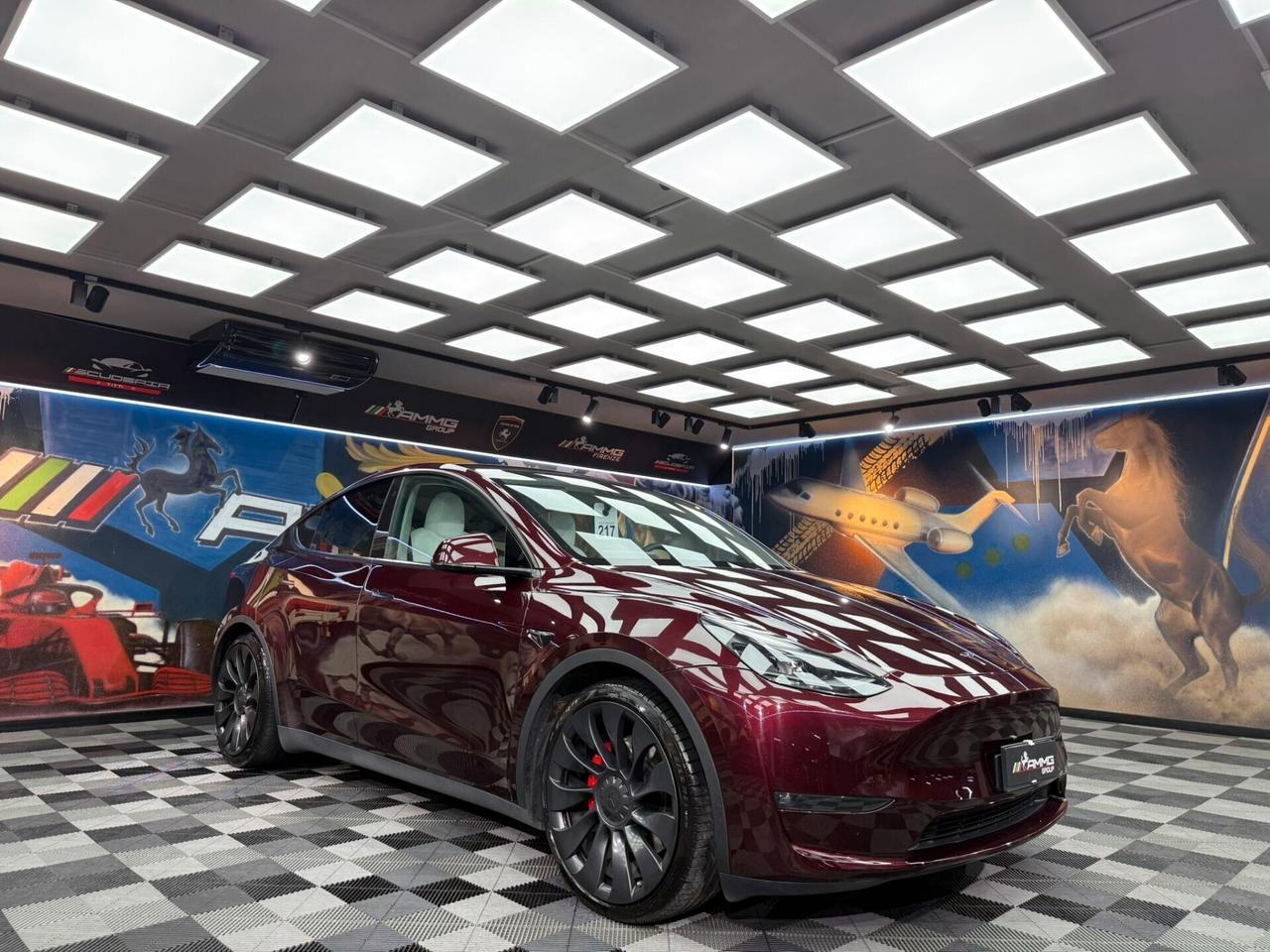 Tesla Model Y AWD Performance (423)