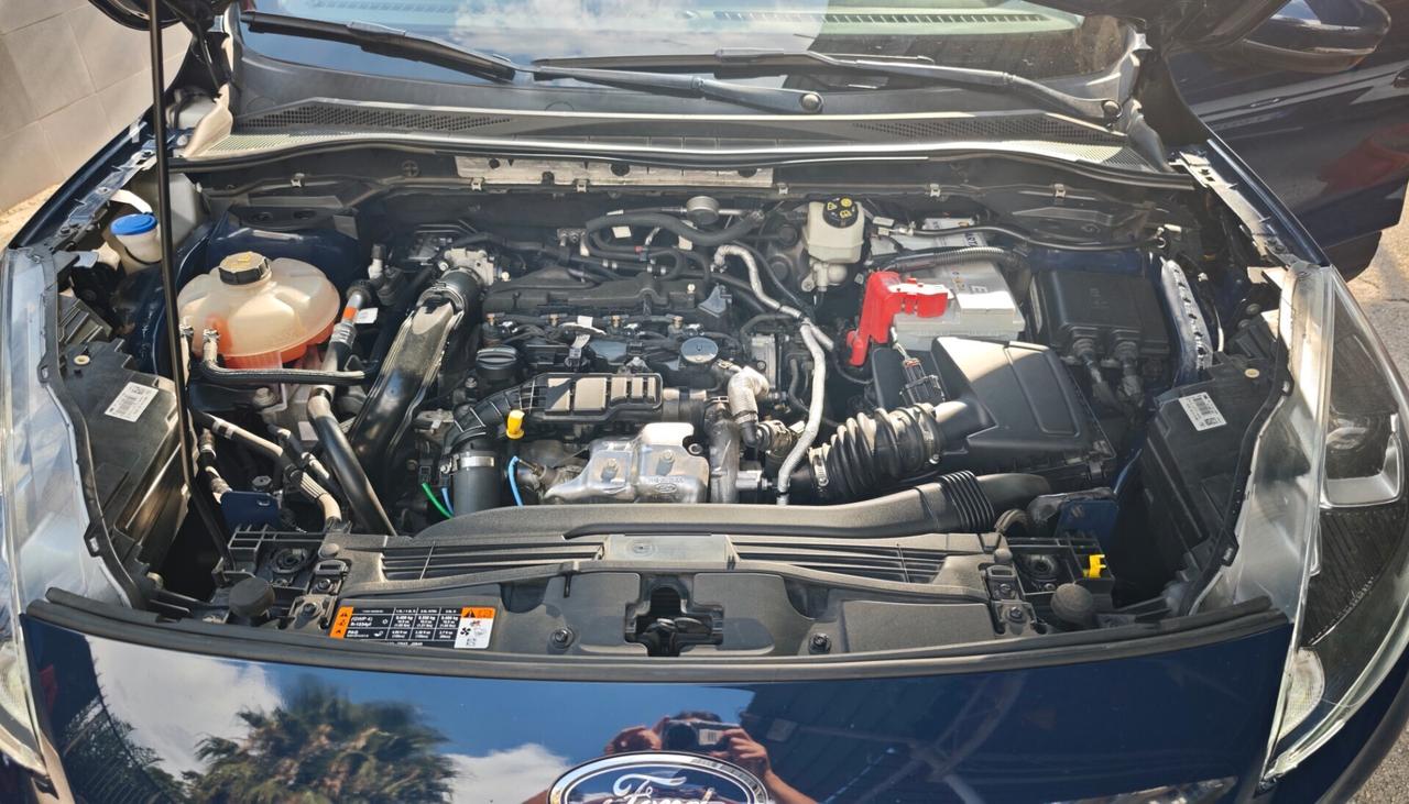 Perfetta Ford Kuga 1.5 EcoBlue 120 CV 2WD Titanium
