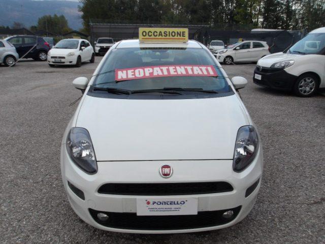 FIAT Punto 1.2 8V 5p Lounge NEOPATENTATI