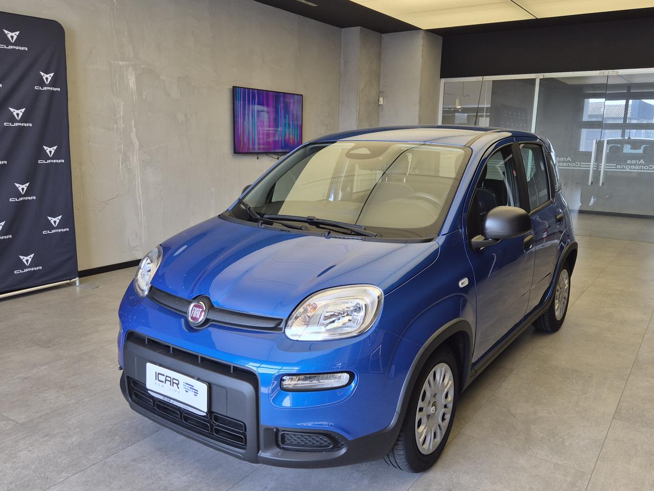 FIAT Panda III - Pandina 1.0 firefly hybrid s&s 70cv