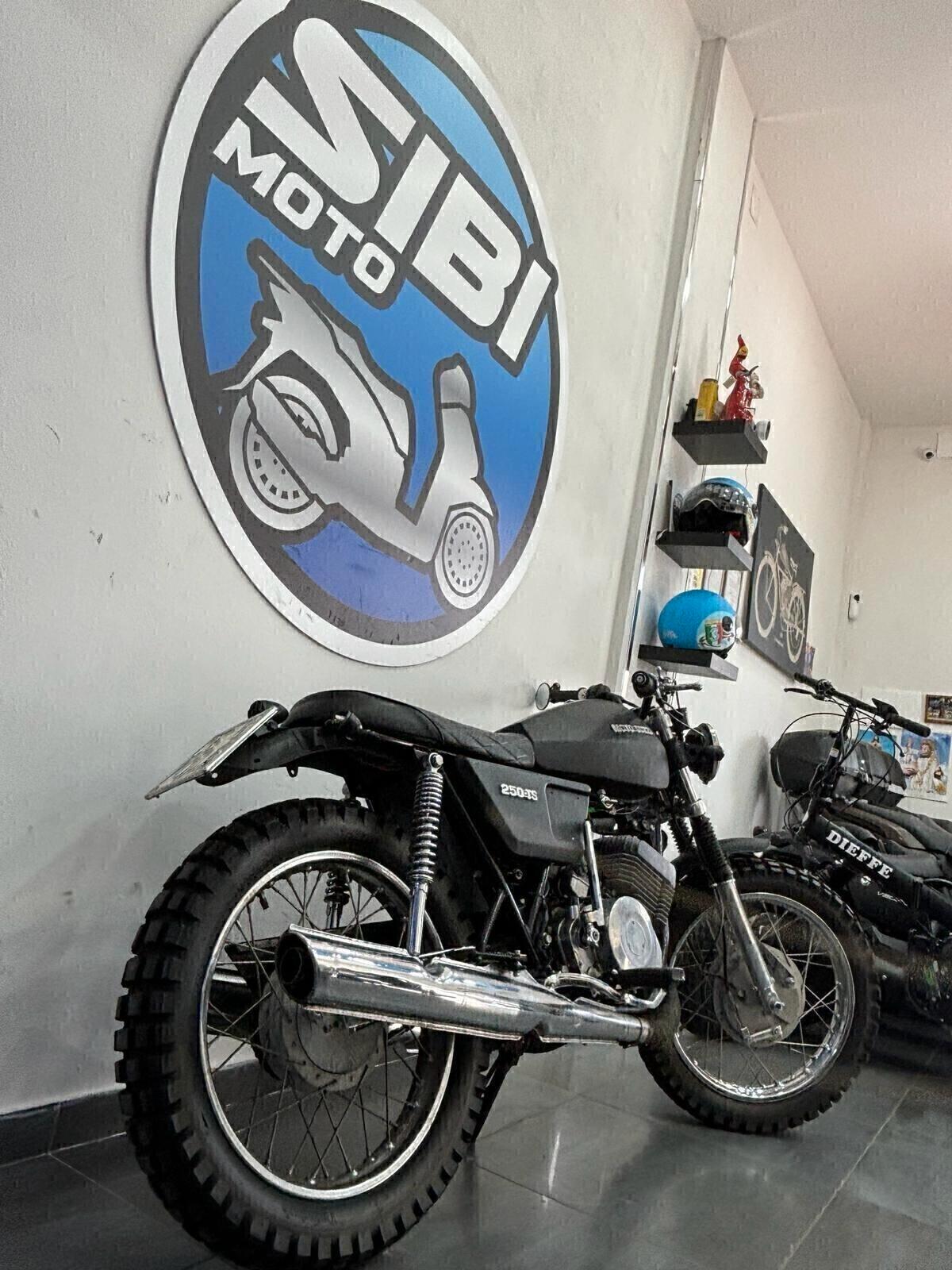 Moto Guzzi Ts 250