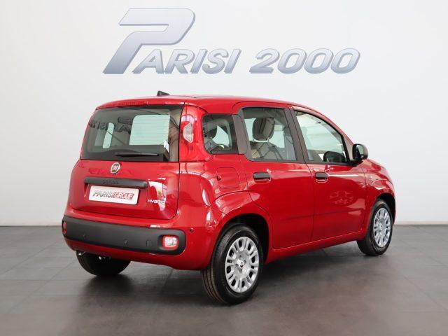FIAT Panda 1.0 FireFly S&S Hybrid *PROMO PARISI GROUP*