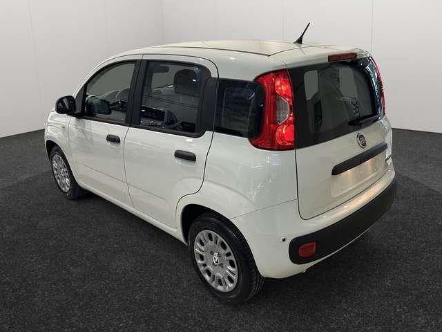 Fiat Panda Panda 1.0 hybrid Easy *KM0*