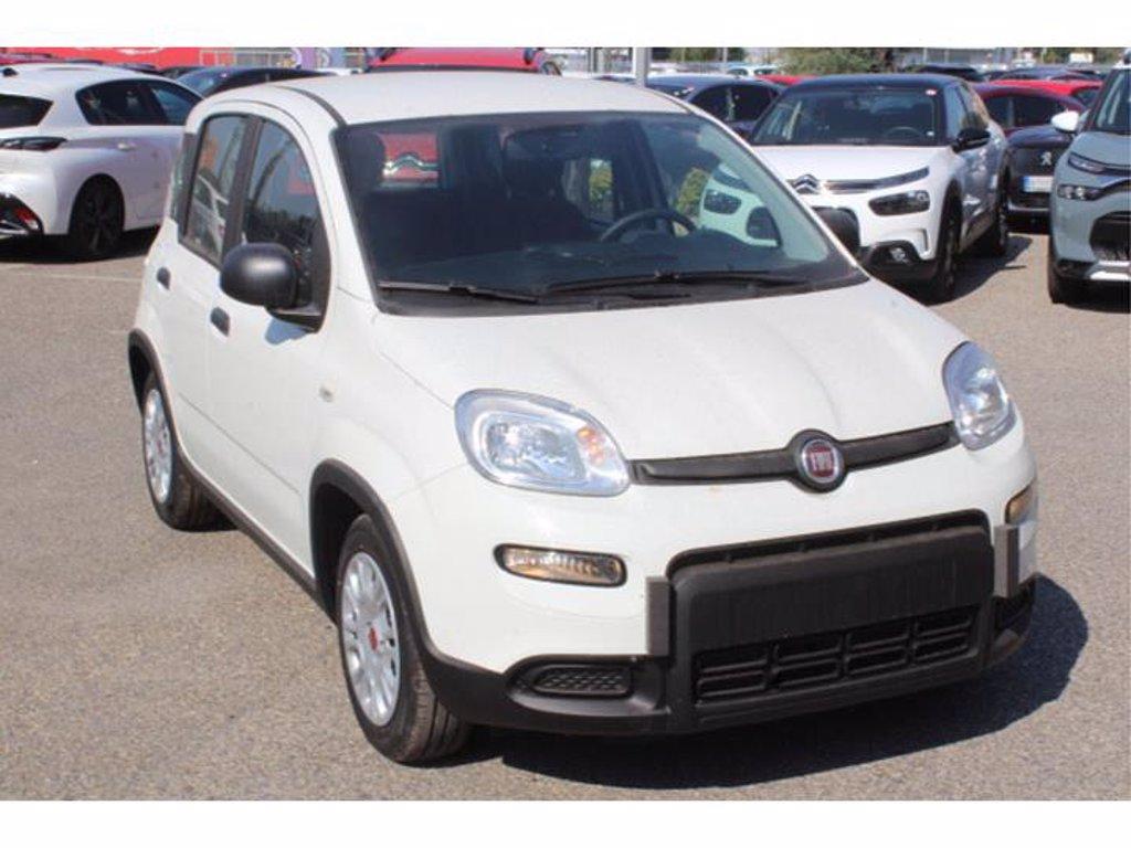 FIAT Panda 1.0 firefly hybrid s&s 70cv del 2023