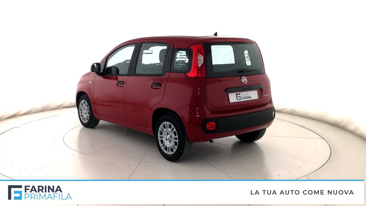 FIAT Panda III 2021 - Panda 1.0 firefly hybrid Pop s&s 70cv