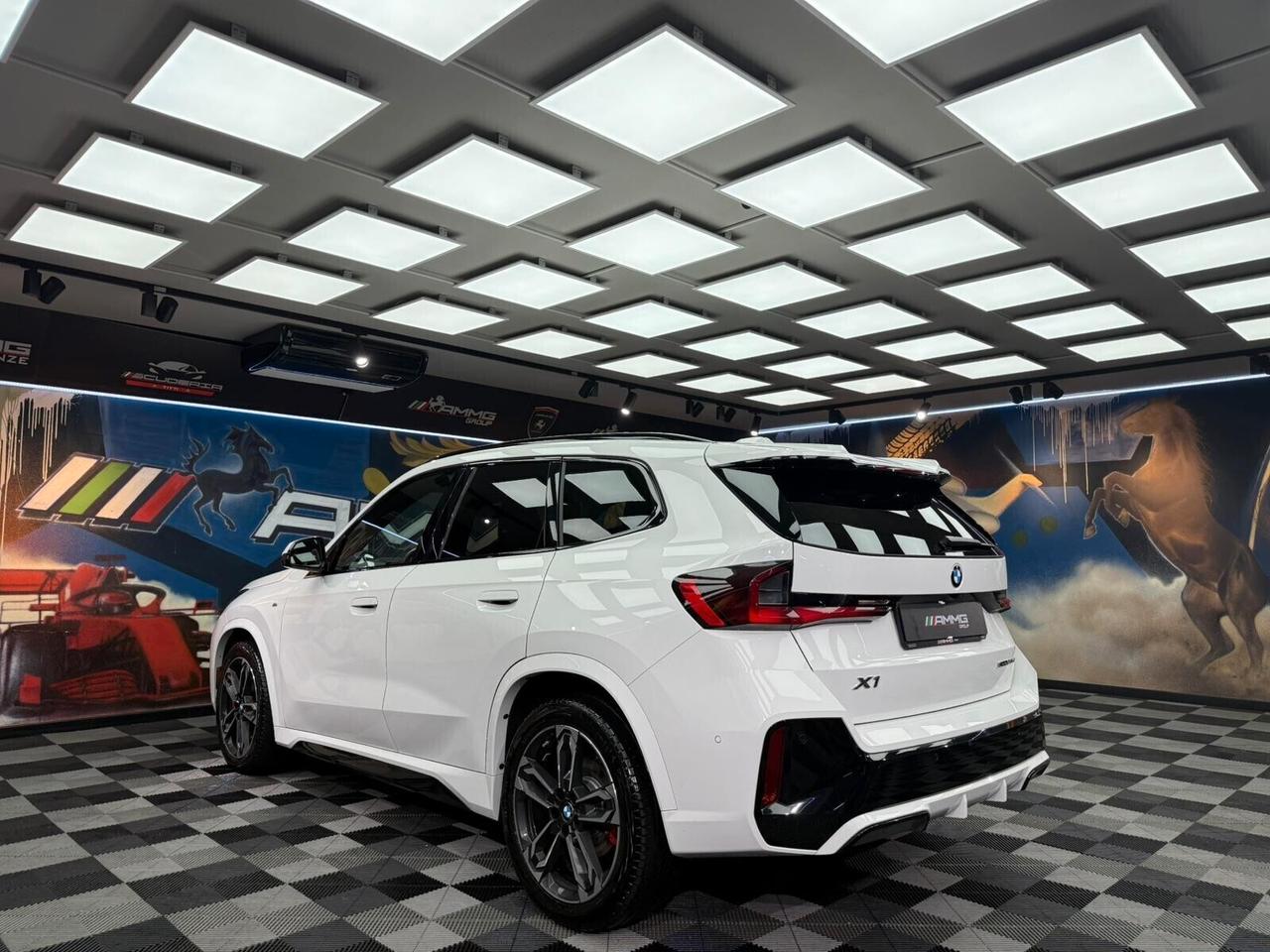 Bmw X1 xDrive 20d Msport Pro (011)