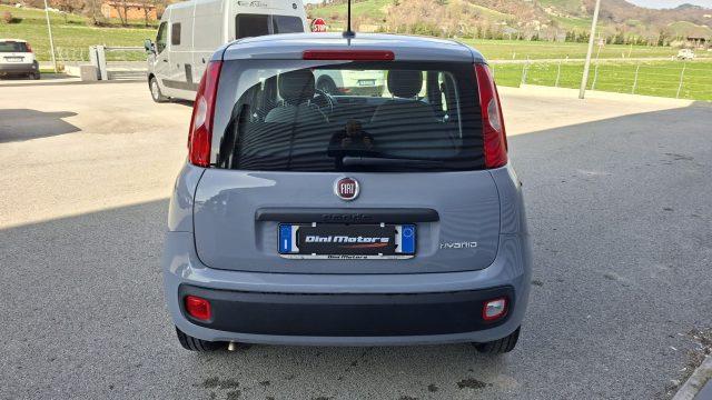 FIAT Panda 1.0 FireFly Hybrid City Life LEGGE 104 IVA ESPOSTA