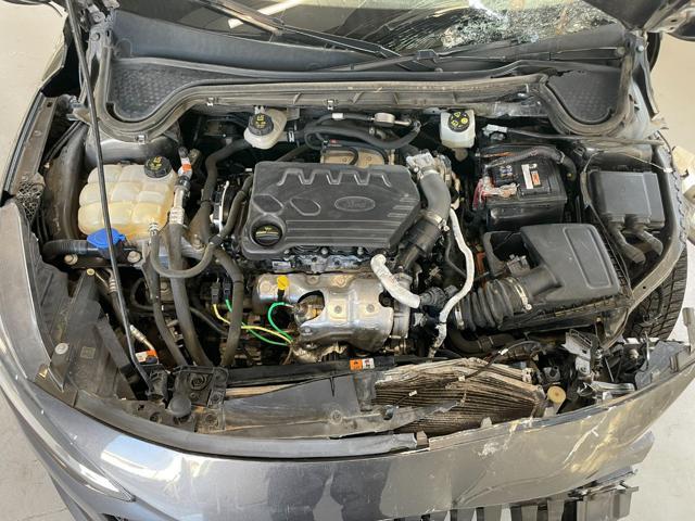 FORD Focus 1.5 ECOBLUE 120CV SW BUSINESS