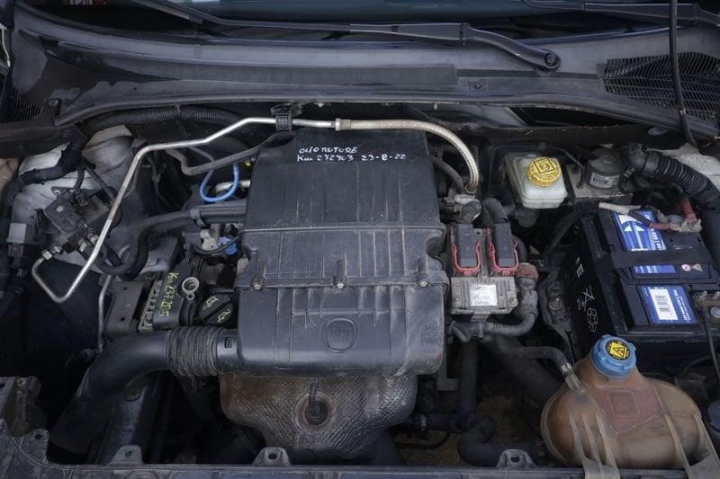 FIAT Grande Punto PUNTO EVO 1.4 5P ACTIVE NATURAL POWER Unicoproprietario