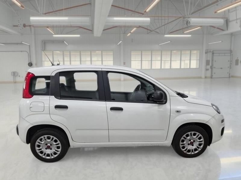 FIAT PANDA 1.2 69 CV SES E6D-TEMP EASY 5 PORTE BERLINA