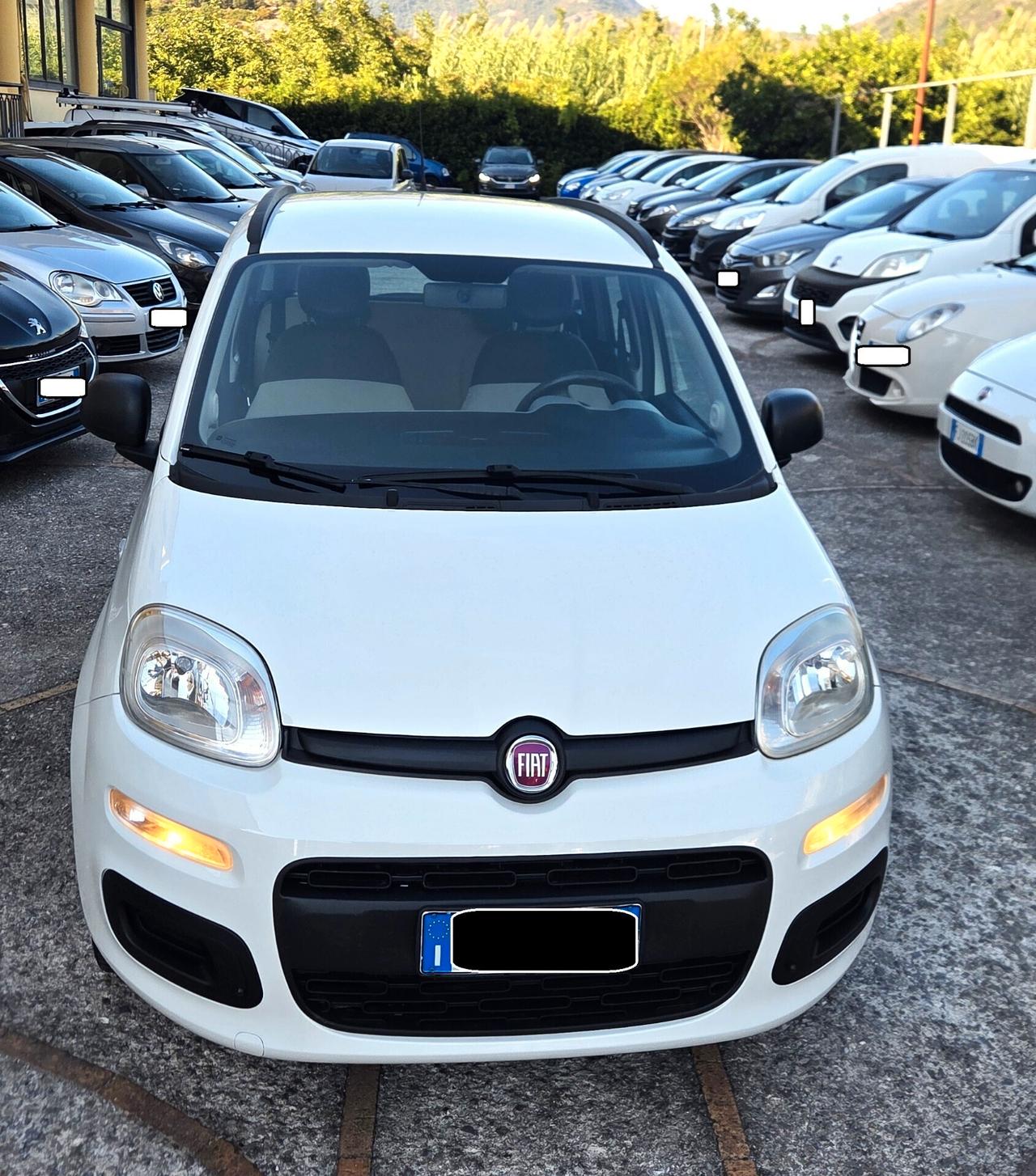 Fiat Panda 1.2 Easy BEN TENUTA GARANZIA 12 MESI