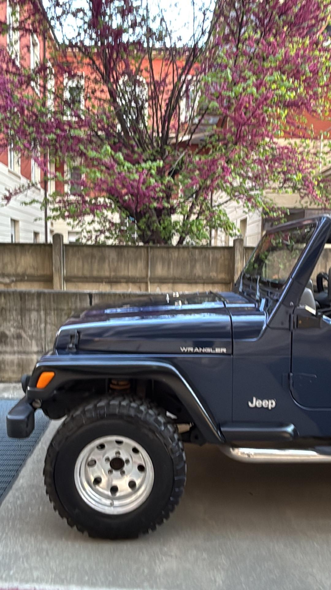 Jeep Wrangler 2.5 cat Soft top (EU)