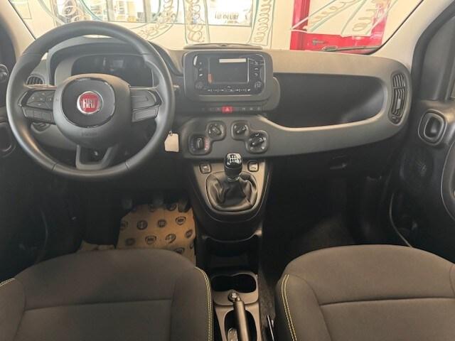 FIAT Panda 3ª serie Panda 1.0 FireFly S&S Hybrid