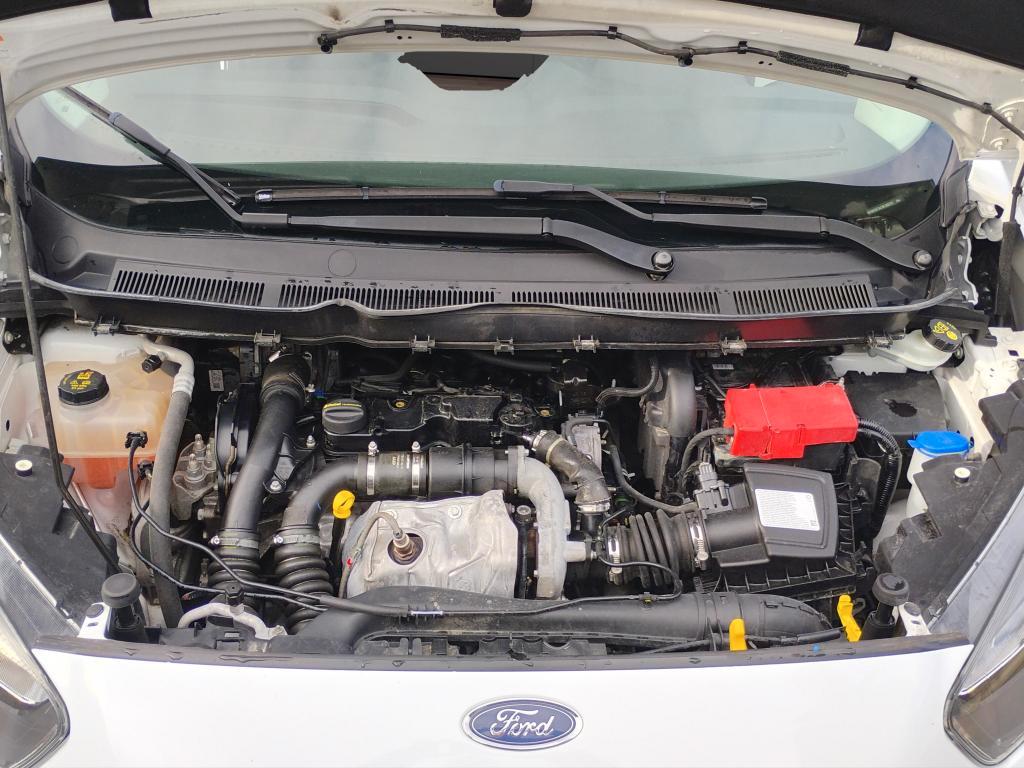 FORD Transit Courier 1.5 tdci 75cv S&S Trend my20