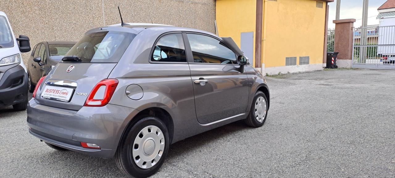 Fiat 500 1.0 70 CV HYBRID CULT - KM. 25000 - AUTO NEOPATENTATI -PRONTA CONSEGNA!