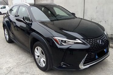 Lexus UX 250h UX 250h iva esposta