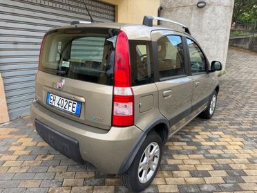 Fiat Panda 1.4 Climbing Natural Power NEOPATENTATI