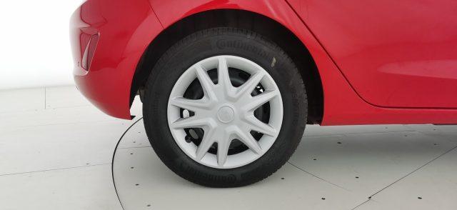 FORD Fiesta 1.5 EcoBlue 5 porte Plus