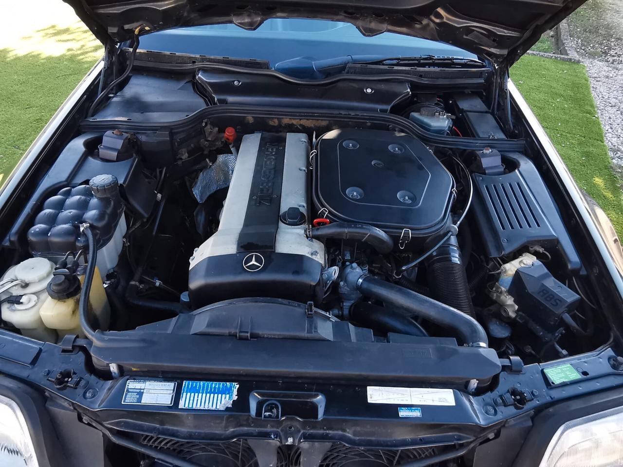 Mercedes-benz SL 300 SL-24 cat