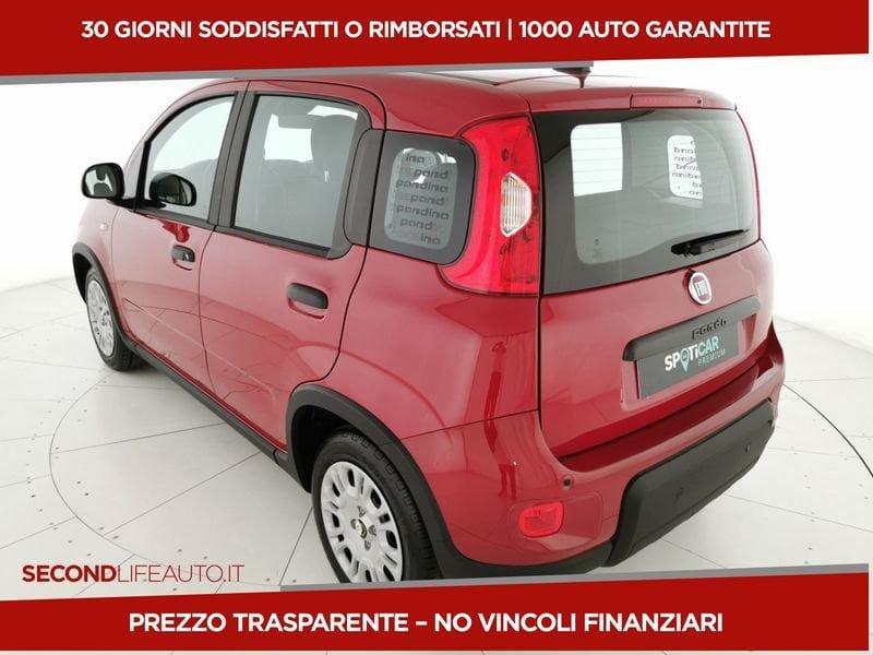 FIAT Panda 1.0 firefly hybrid s&s 70cv