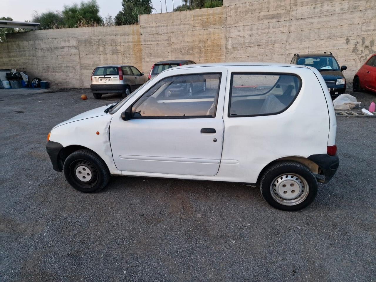 Fiat Seicento 900i cat Young
