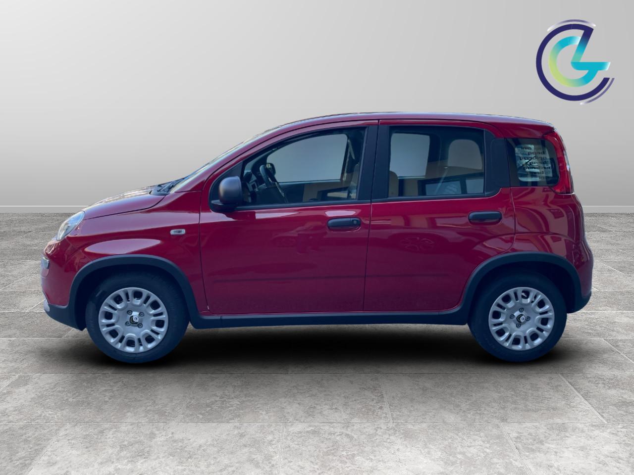 FIAT Panda III 2024 - Panda 1.0 firefly hybrid s&s 70cv
