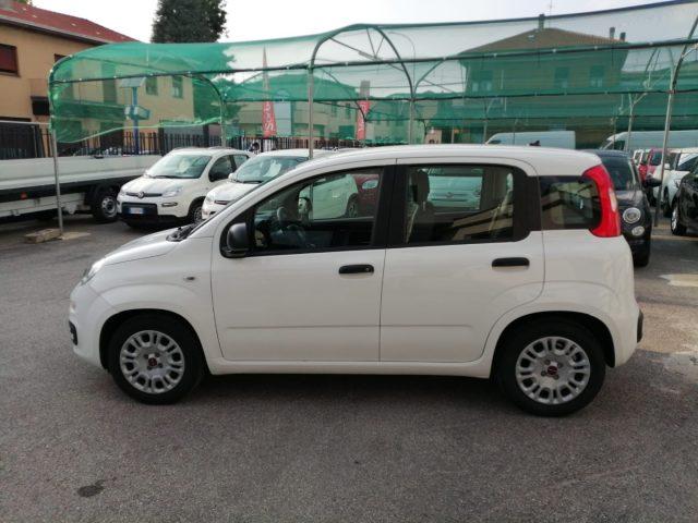 FIAT Panda 1.0 FireFly S&S Hybrid Easy