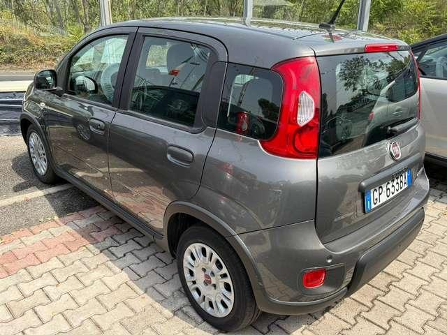 Fiat Panda Panda 1.0 firefly hybrid DISPONIBILI VARI COLORI