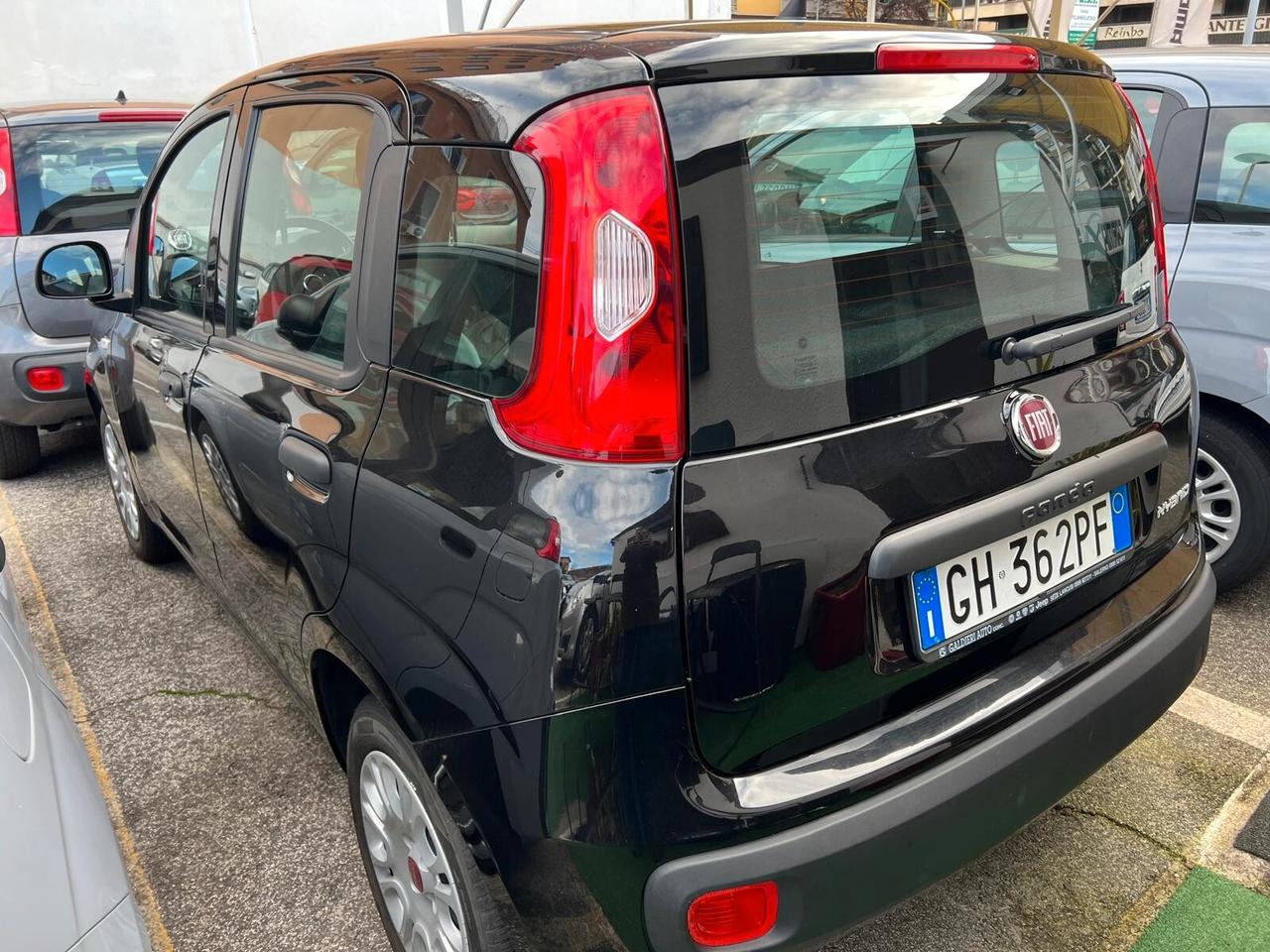 Fiat Panda 1.0 Hybrid PREZZO VERO NESSUN FINANZIAMENTO OBBLIGATORIO