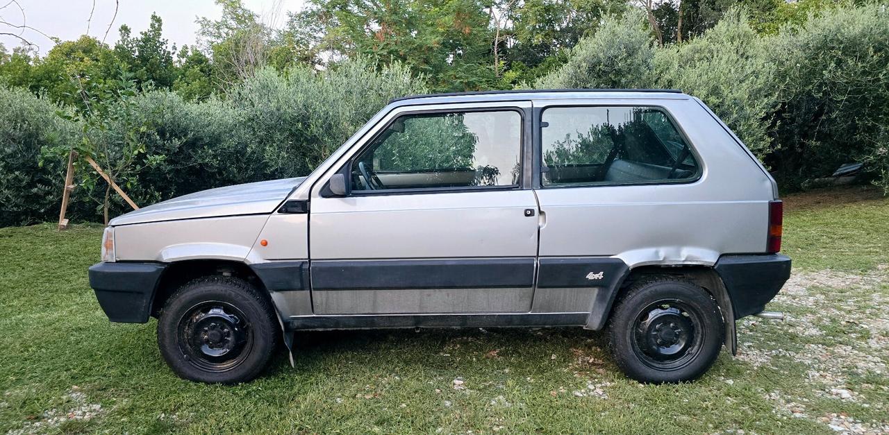 Fiat Panda (4x4...Gpl.)