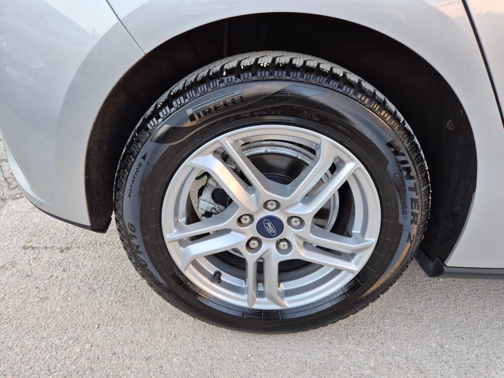 Ford Focus 1.5 EcoBlue 95 CV 5p Business