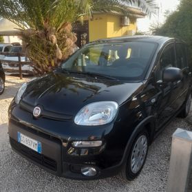 Fiat Panda 1.0 FireFly S&S Hybrid 2024''