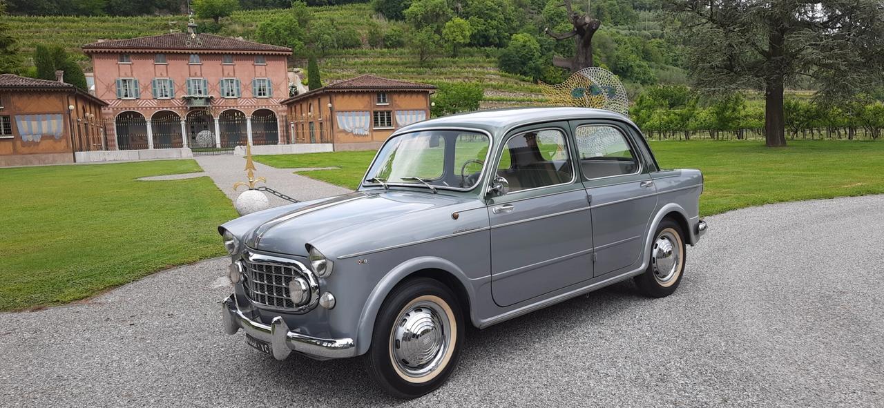 Fiat Altro 1100 103 Elite Vignale '56