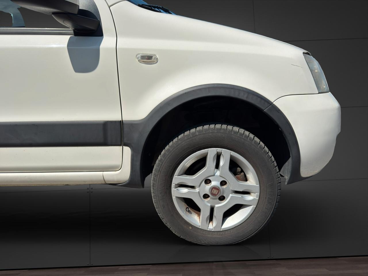 Fiat Panda 1.3 MJT 16V DPF 4x4 Climbing 04/2012