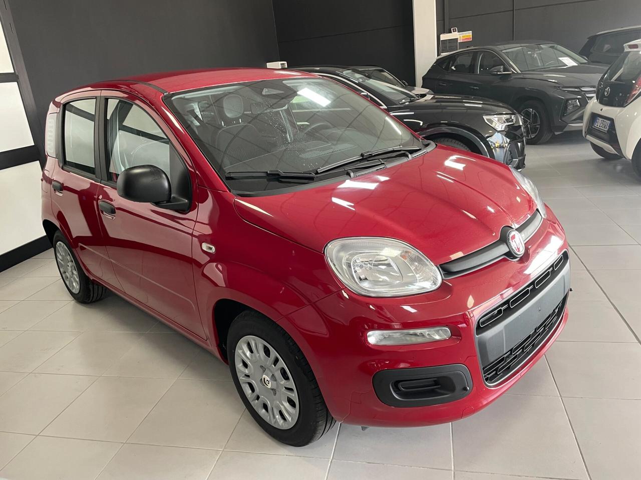Fiat Panda Pandina 1.0 FireFly 65 CV Hybrid Pop PROMO KM0