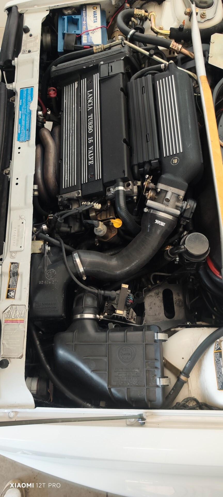 Lancia Delta 2.0 TURBO 16V HF integrale EVOLUZIONE (TARGA ORO ASI)