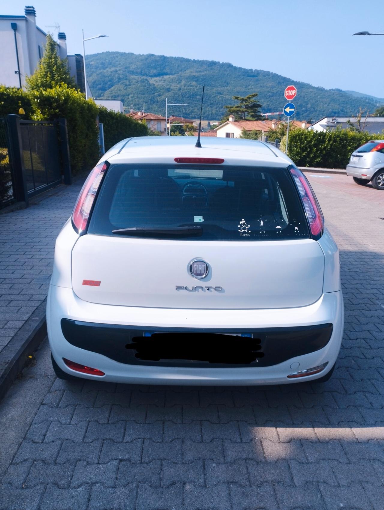 Fiat Punto Evo Punto Evo 1.2 5 porte S&S Dynamic