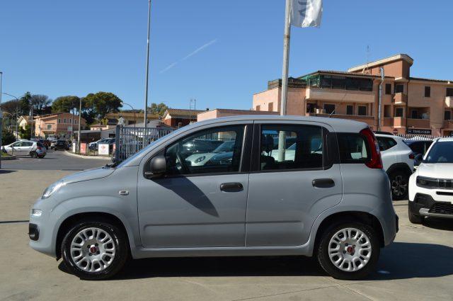 FIAT Panda 1.0 FireFly S&S Hybrid 70 CV
