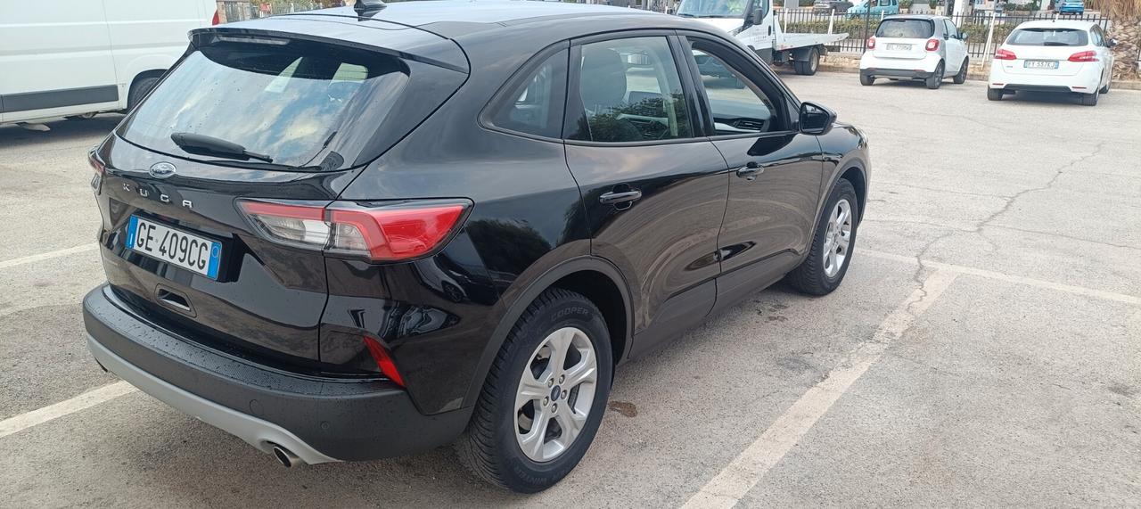 Ford Kuga 1.5 EcoBlue 120 CV 2WD Titanium Business