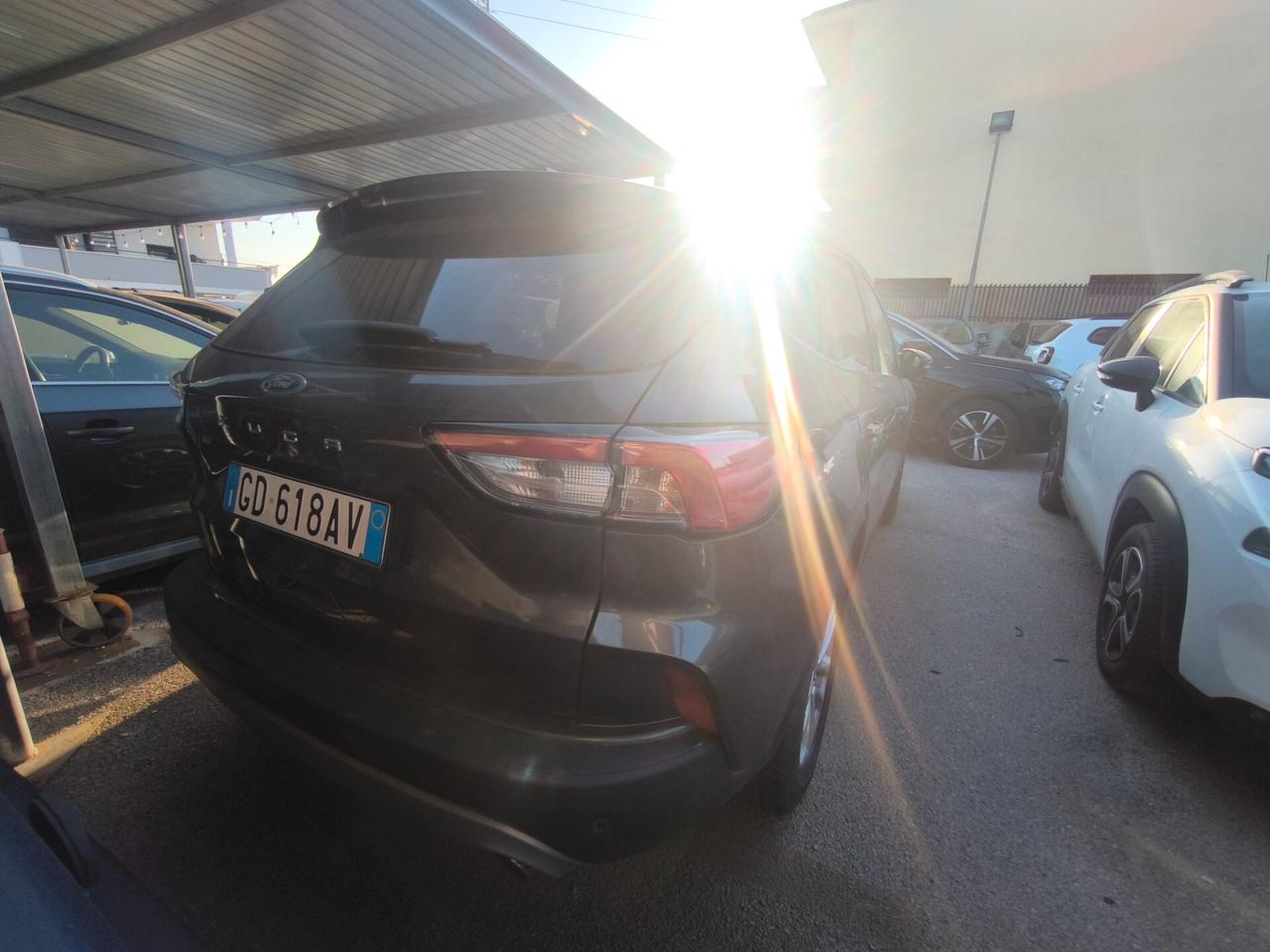 Ford Kuga 1.5 EcoBlue 120 CV aut. 2WD Titanium Business