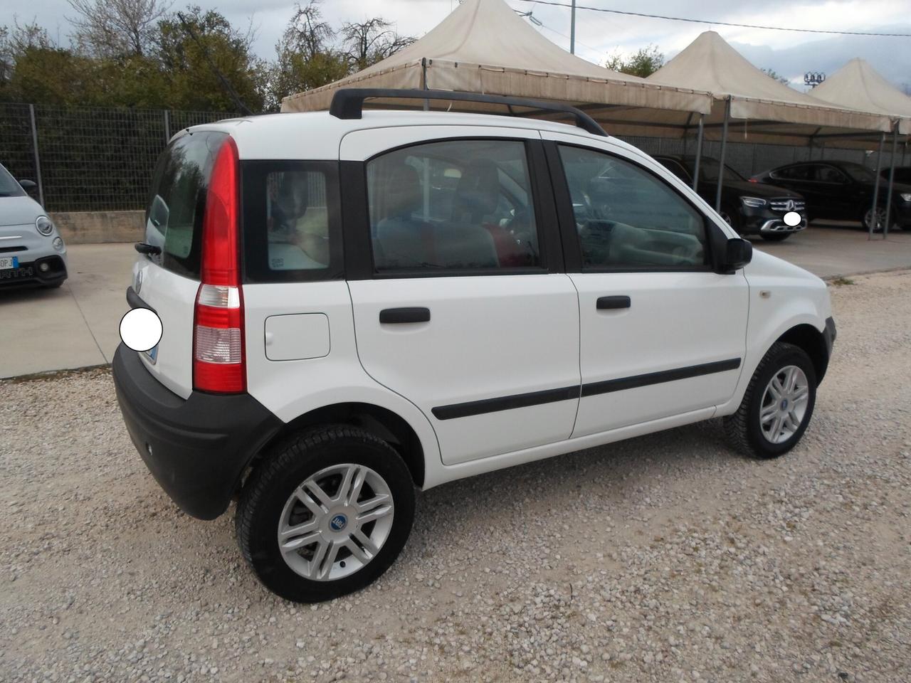 Fiat Panda 1.2 Benzina 4x4