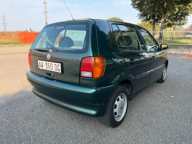Volkswagen Polo 1.4 cat 5 porte Comfort
